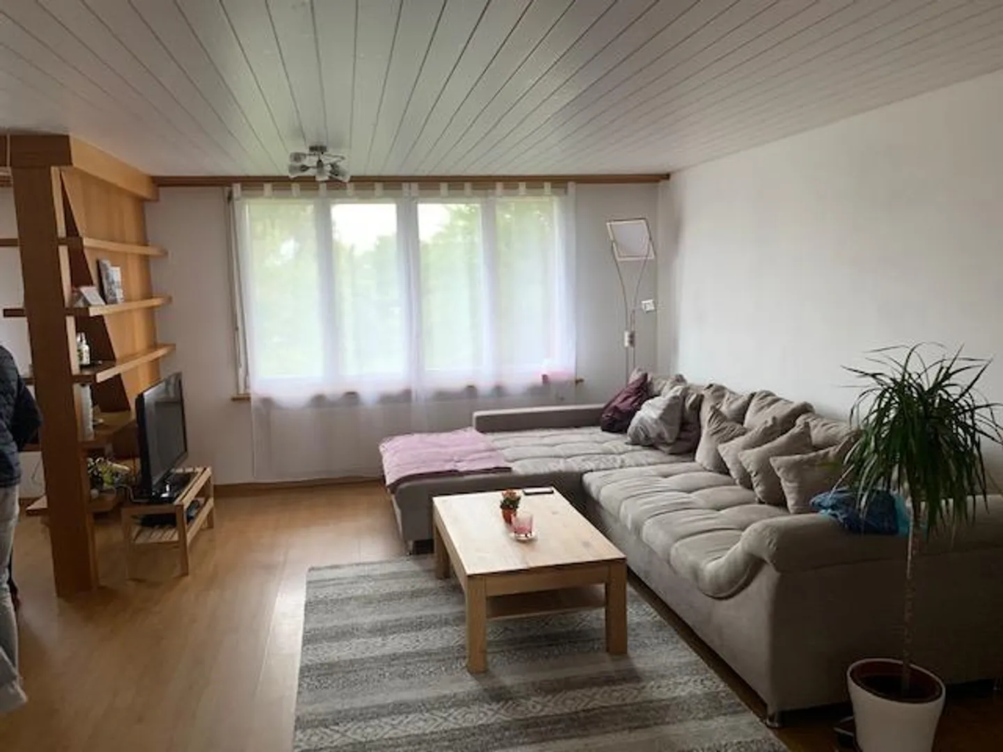 3.5 Room Apartment - Photo 3 of 10