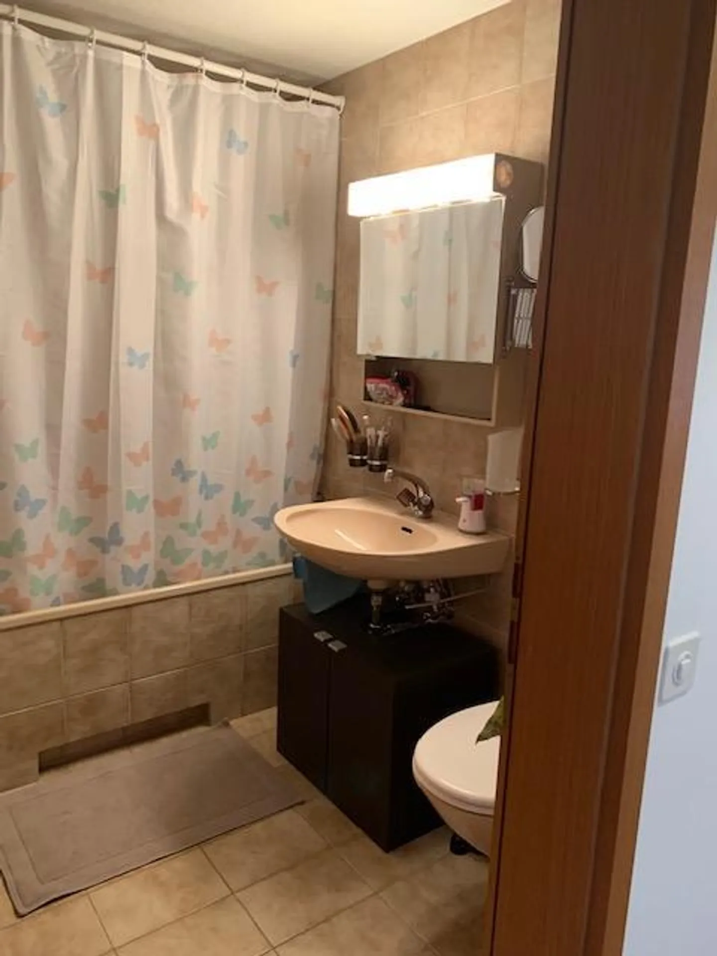 3.5 Room Apartment - Photo 9 of 10