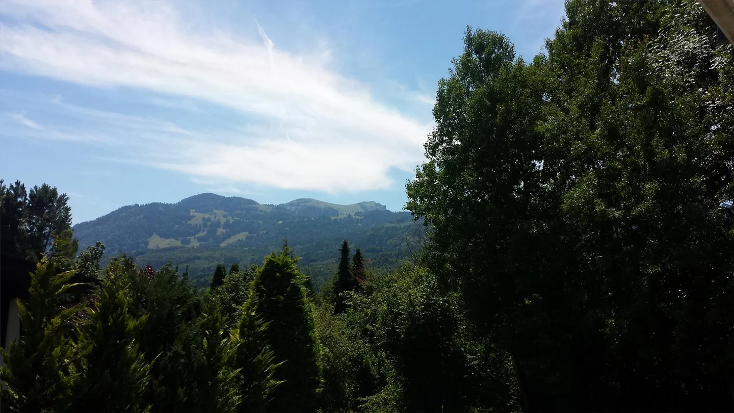 Petite, nouvellement rénovée appartement de 1,5 pièce dans un emplacement en pente proche de la nature - Photo 8 sur 10