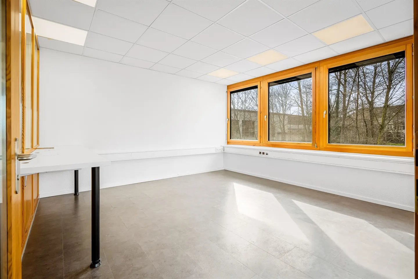 Espace de bureau lumineux - Photo 7 sur 10