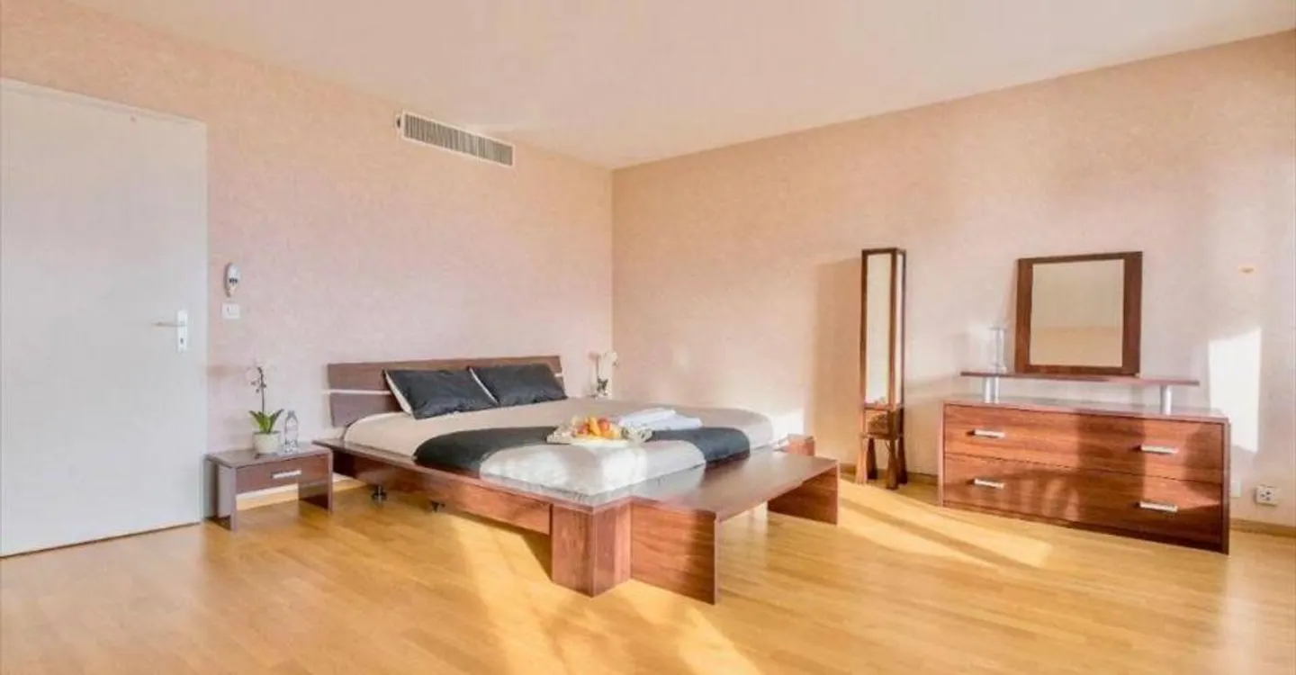 4.5 Room Furnished Apartment - Photo 4 of 5