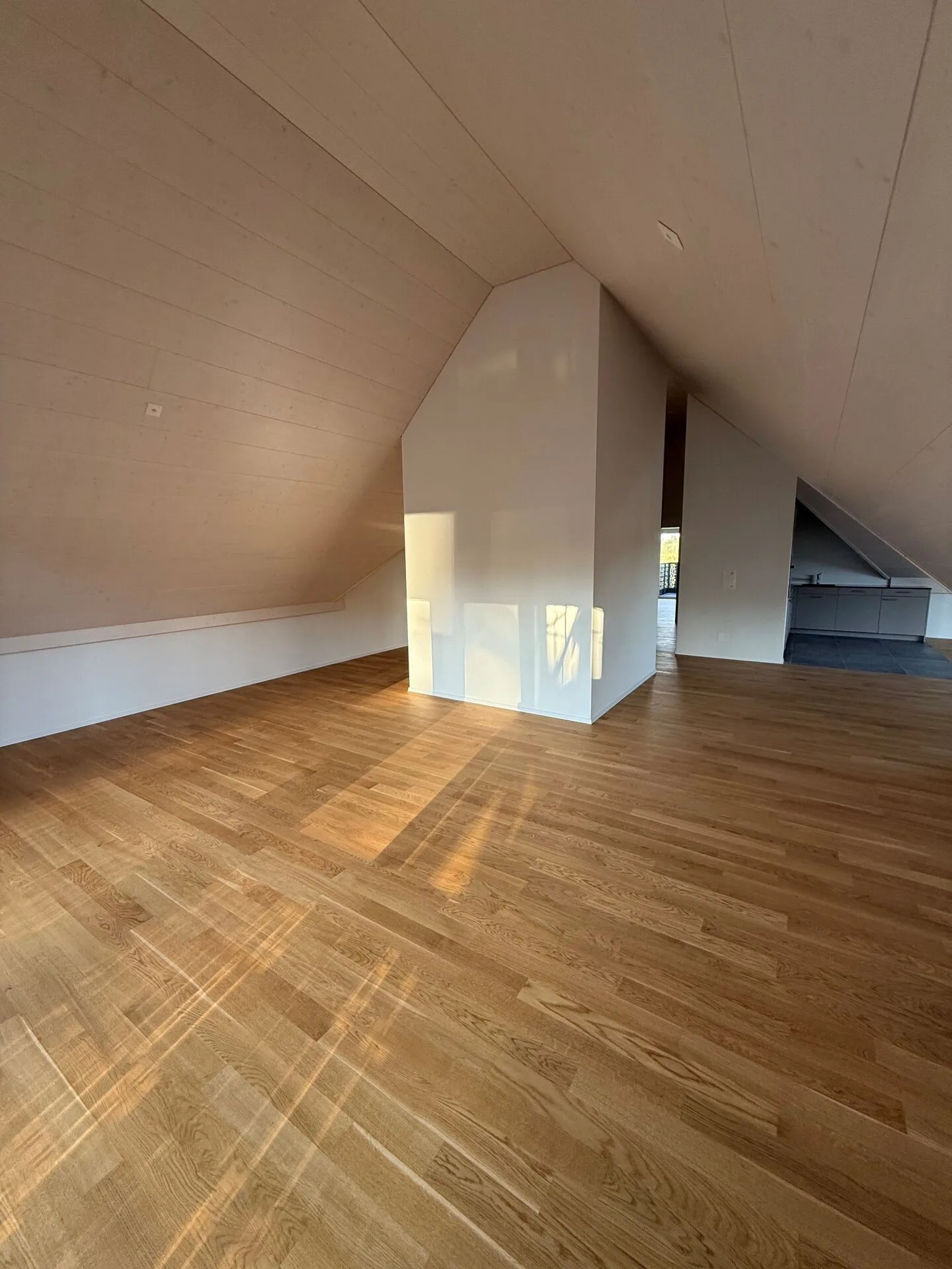 First Rental: High Up - Stylish Penthouse with a View - Photo 4 of 18