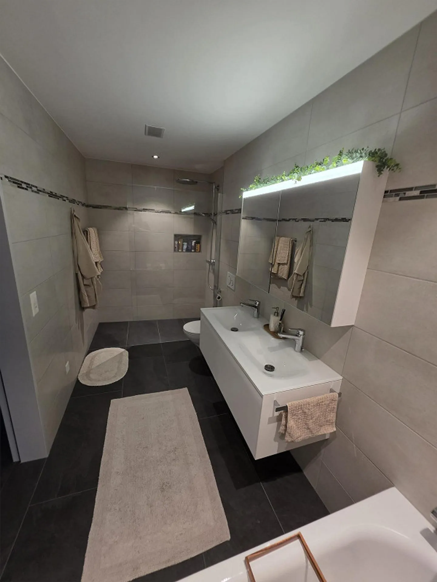 Looking for a new tenant for the beautiful apartment in Münchwilen. - Photo 3 of 14