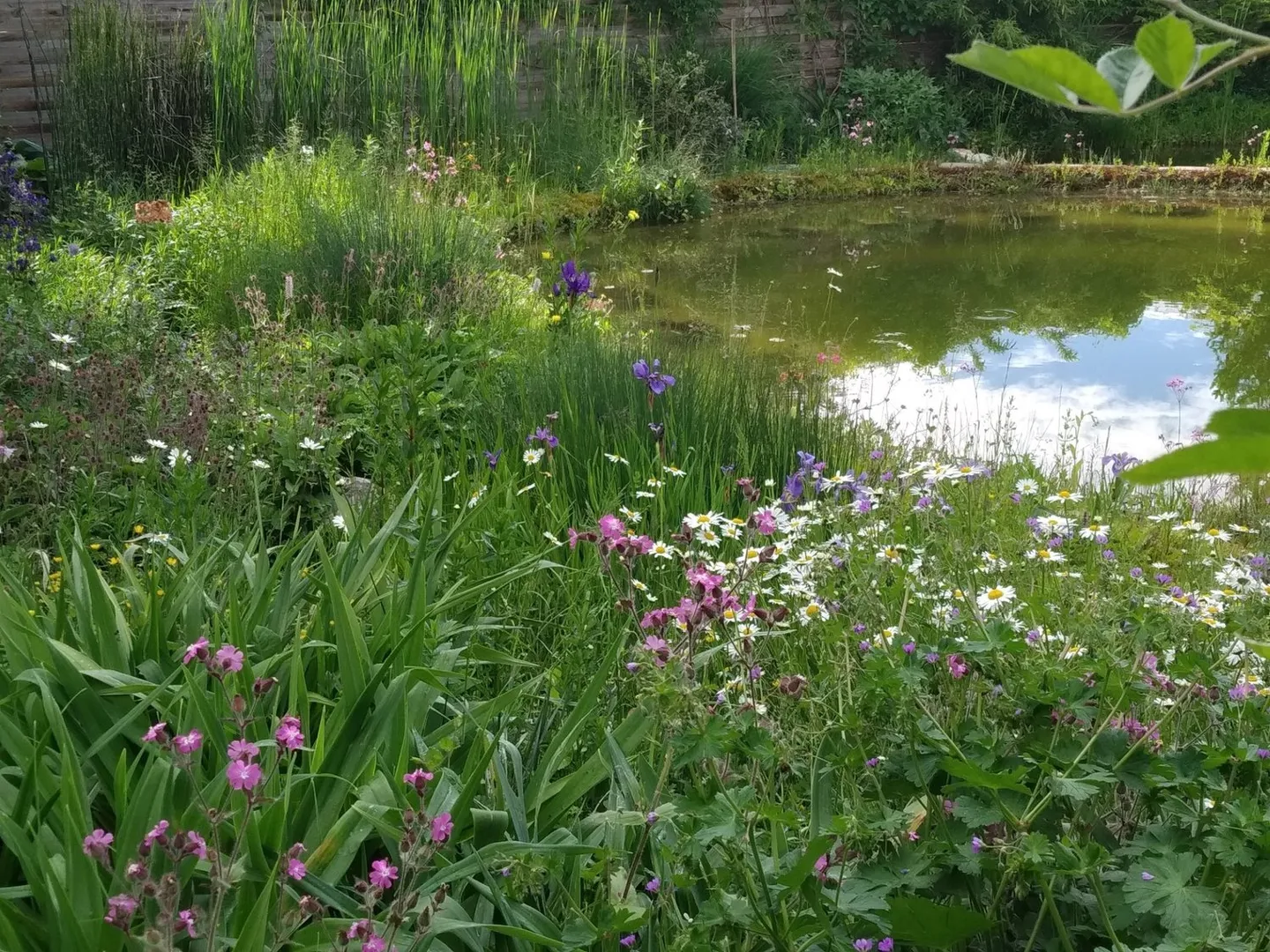 Charmantes Einfamilienhaus mit Naturschwimmteich - Photo 10 of 11