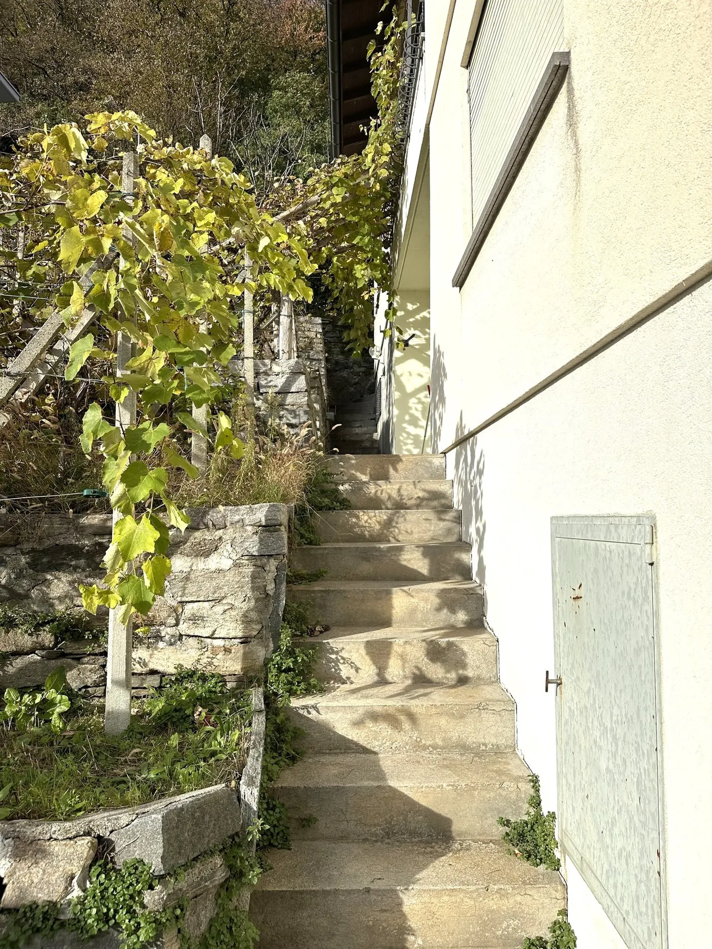 Casa bifamiliare 3.5 + 4.5 - Monte Carasso - Foto 2 di 13