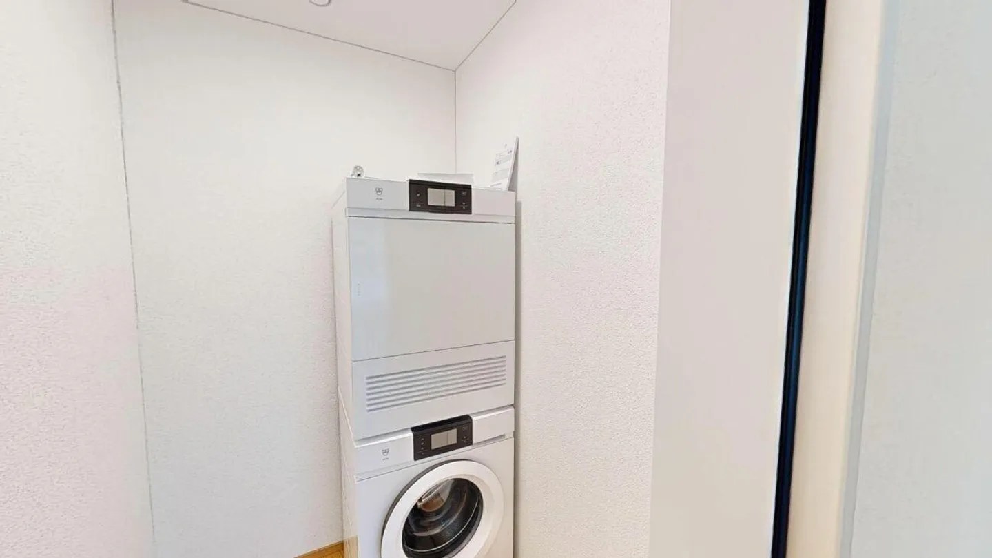 Exclusive 4.5 Room Apartment by the Lake - Photo 11 of 12