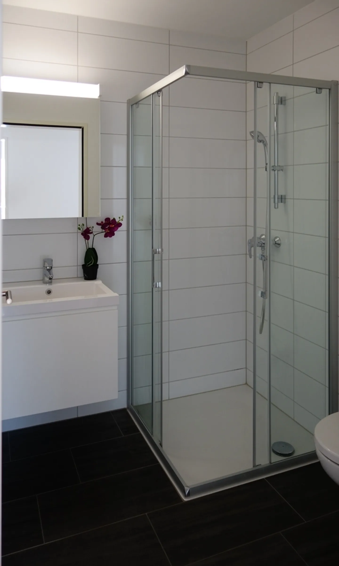 Appartamento 4.5 stanze - Foto 7 di 11