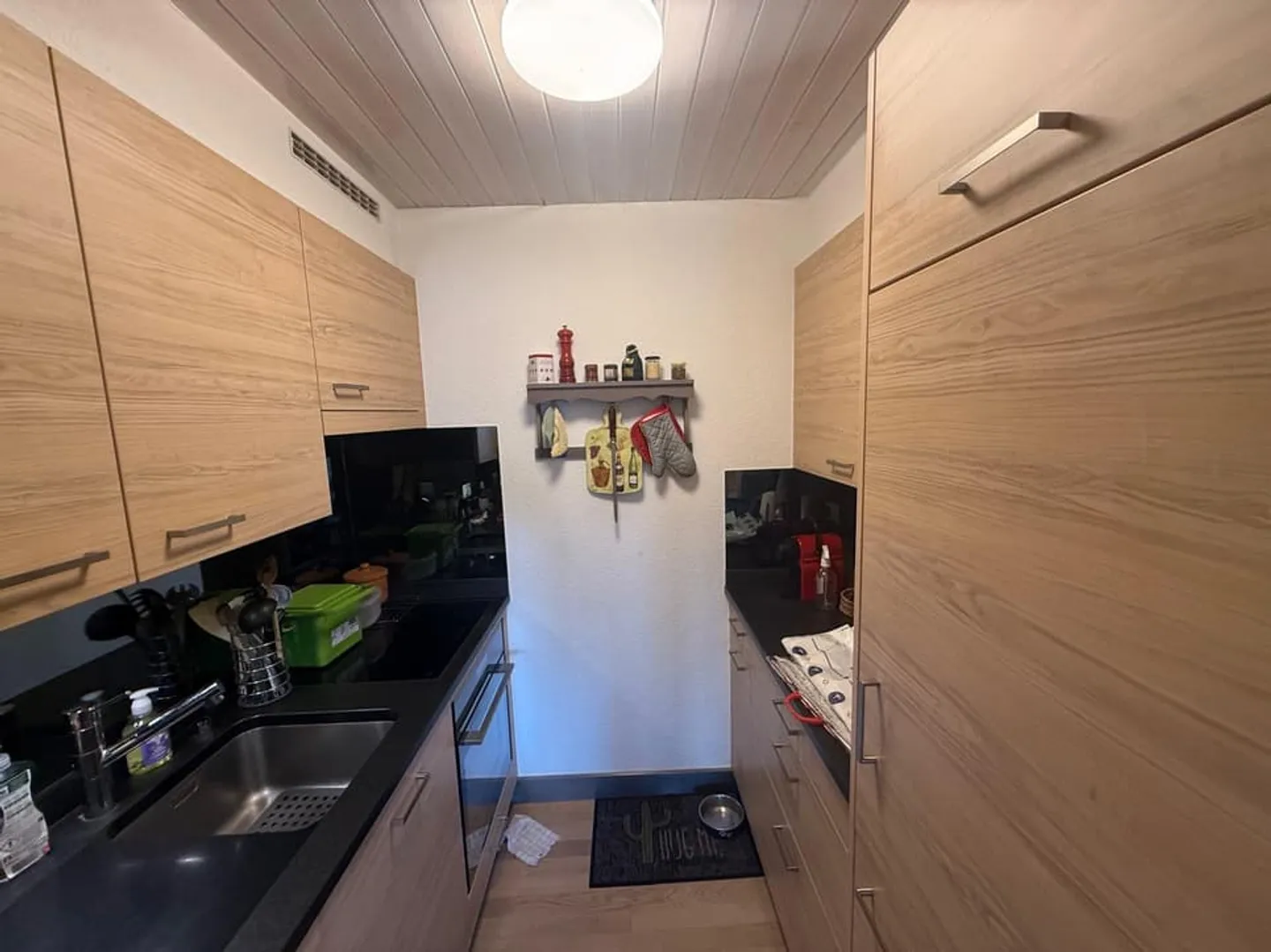 Charming 3.5 Room Apartment - Photo 3 of 13