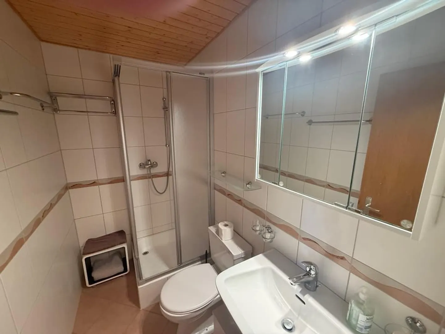 Charming 3.5 Room Apartment - Photo 8 of 13