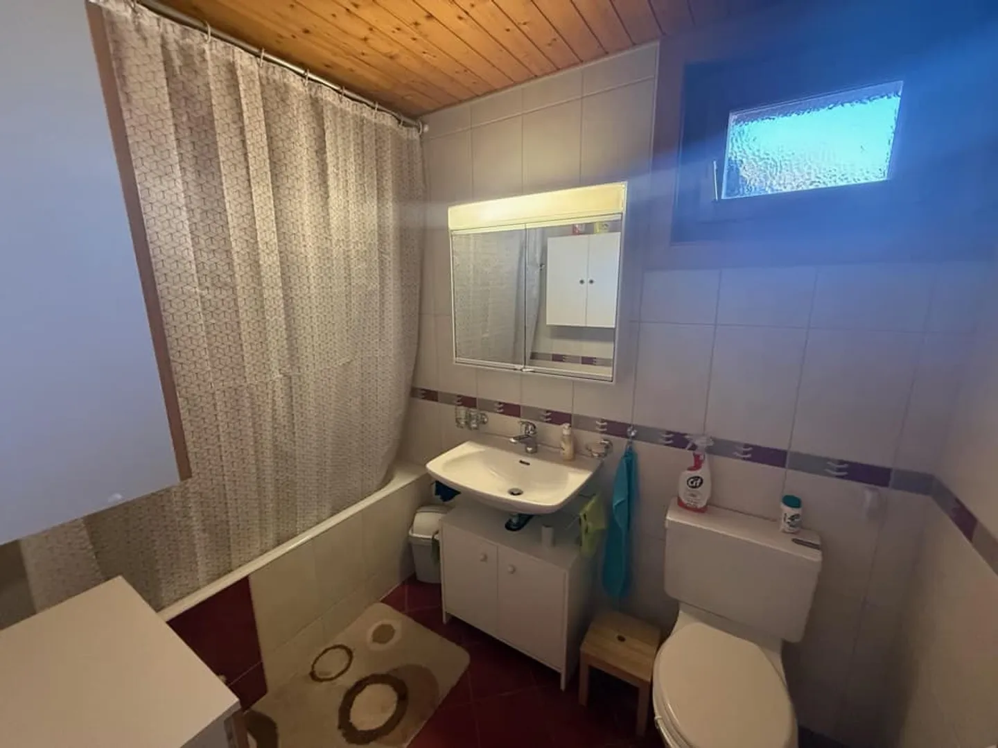 Charming 3.5 Room Apartment - Photo 9 of 13