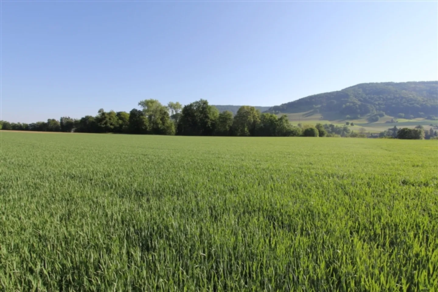 Residential-Commercial Building with Building Plot and Development Potential - Photo 5 of 13