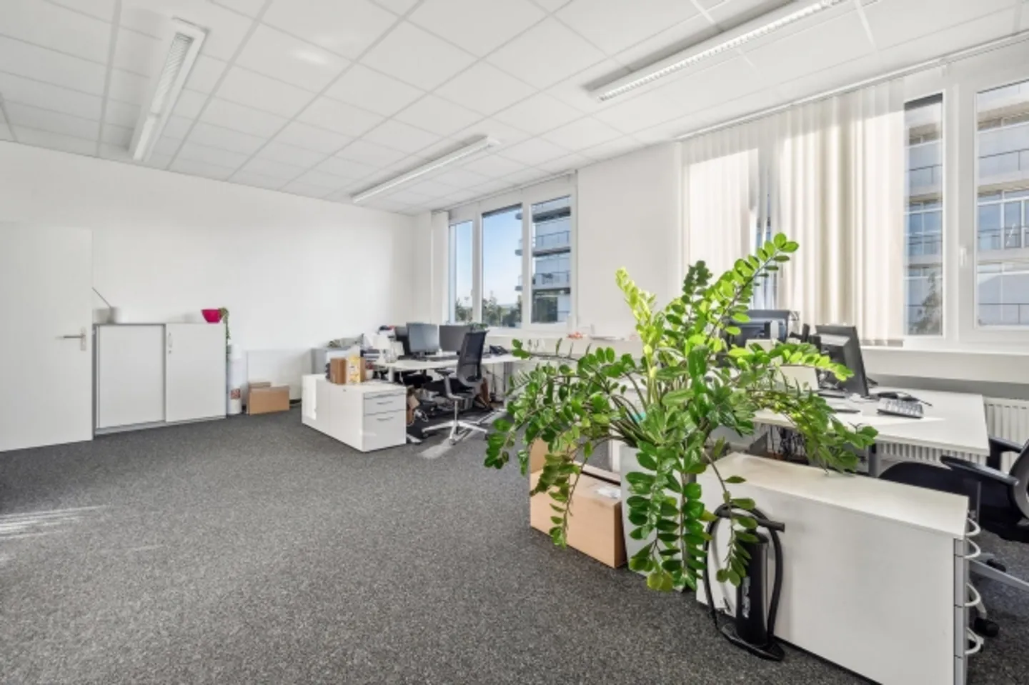 Espace de bureau agrandi dans la région des trois frontières avec une grande terrasse - Photo 2 sur 13