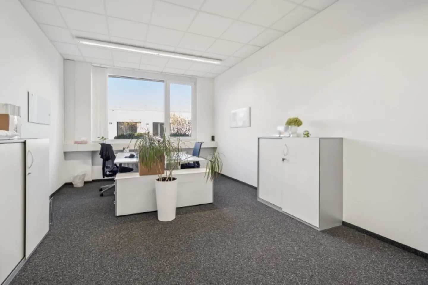 Espace de bureau agrandi dans la région des trois frontières avec une grande terrasse - Photo 6 sur 13