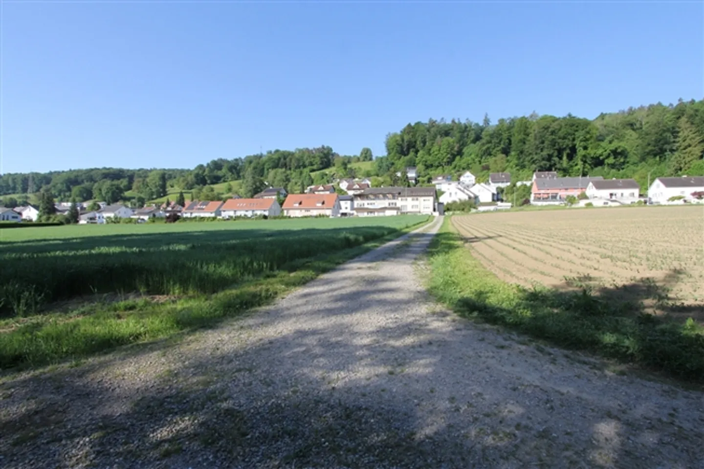 Residential-Commercial Building with Building Plot and Development Potential - Photo 13 of 13