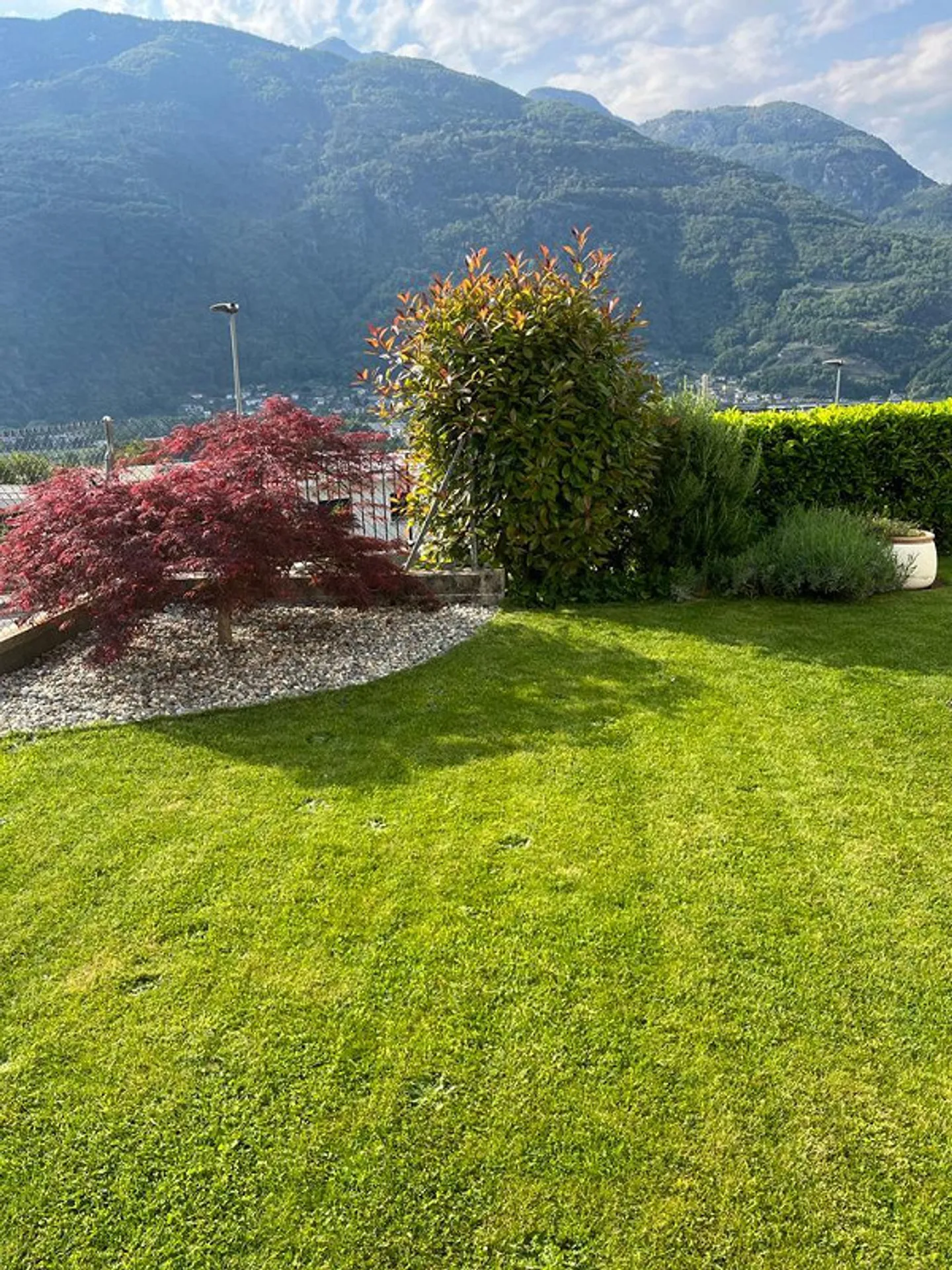 WUNDERSCHÖNE 5,5 ZIMMER MIT GARTEN IN BELLINZONA – ID 23534 - Foto 14 von 16