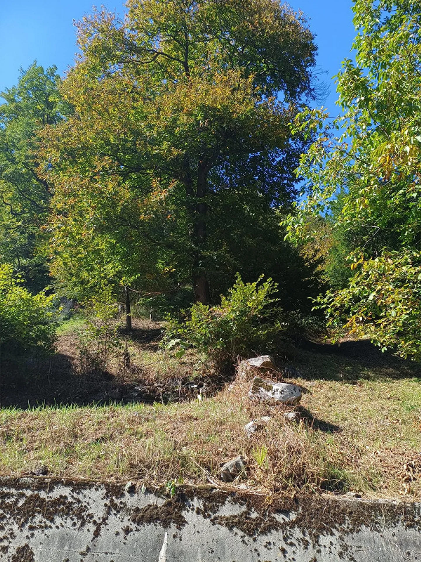 Terrain constructible à Soazza - ID 24046 - Photo 2 sur 4