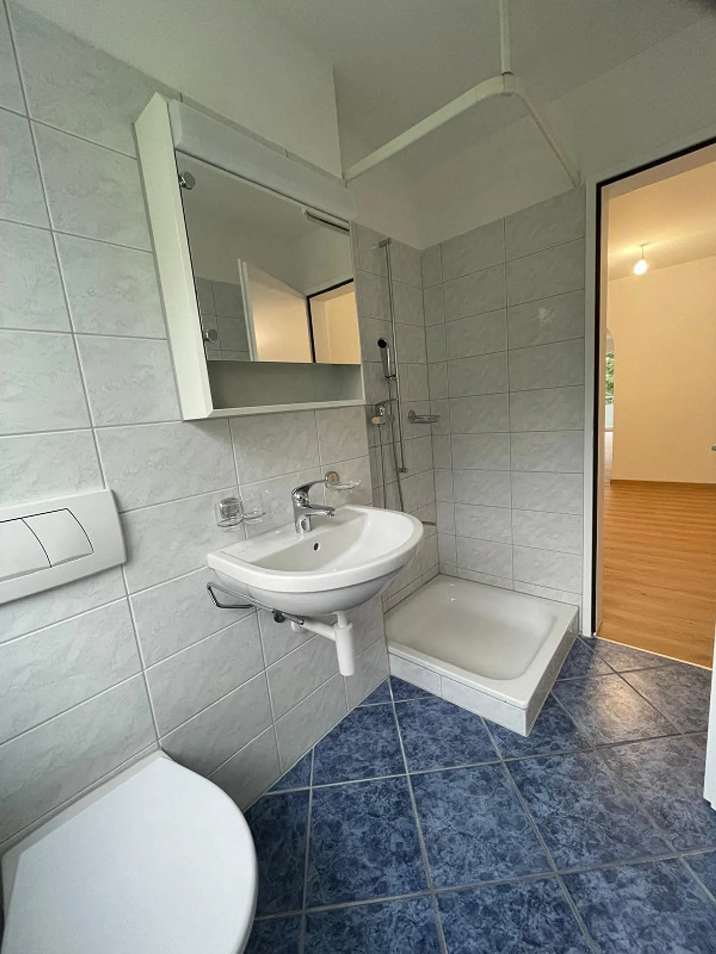 Ampio appartamento ristrutturato di 4,5 locali nel quartiere del Reno - Foto 10 di 11