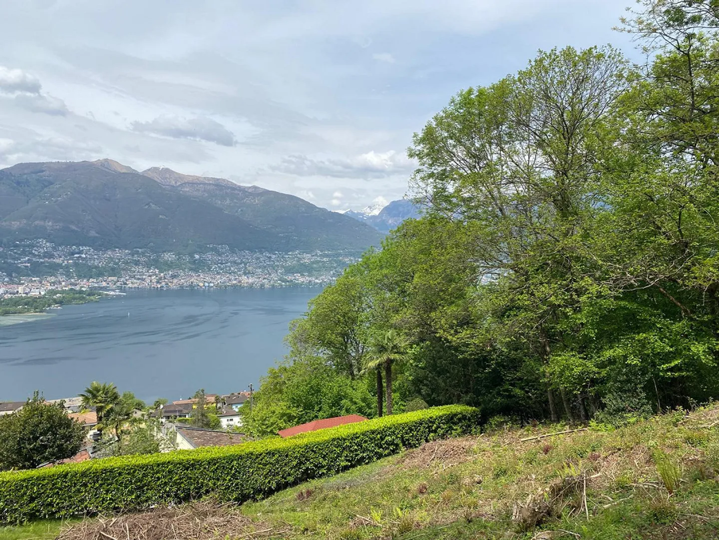 Building Plot in Gambarogno with Stunning View - Photo 4 of 7