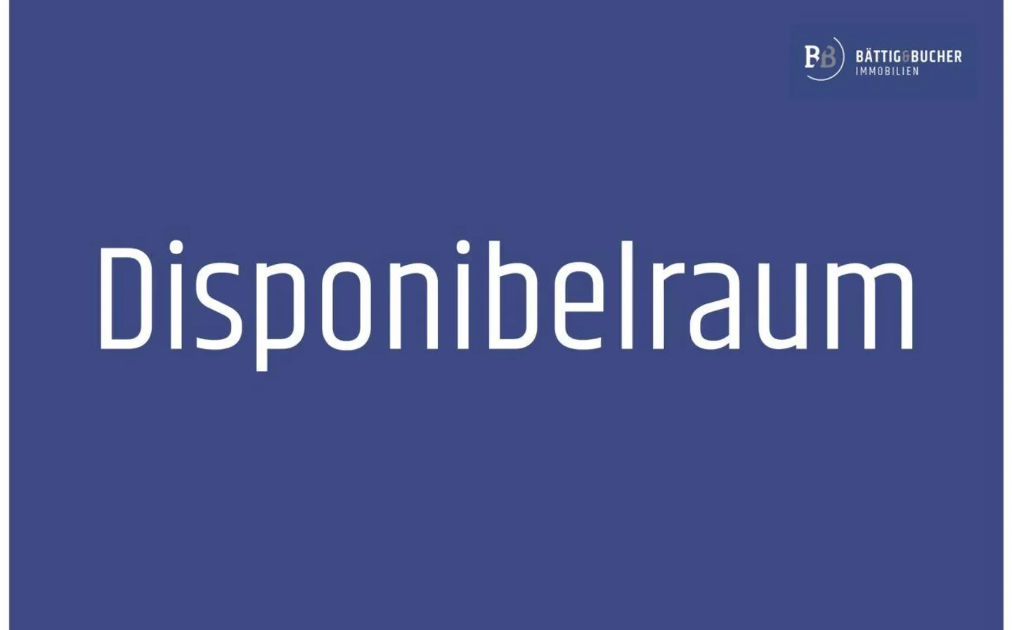Disporaum au sous-sol - Photo 1 sur 6
