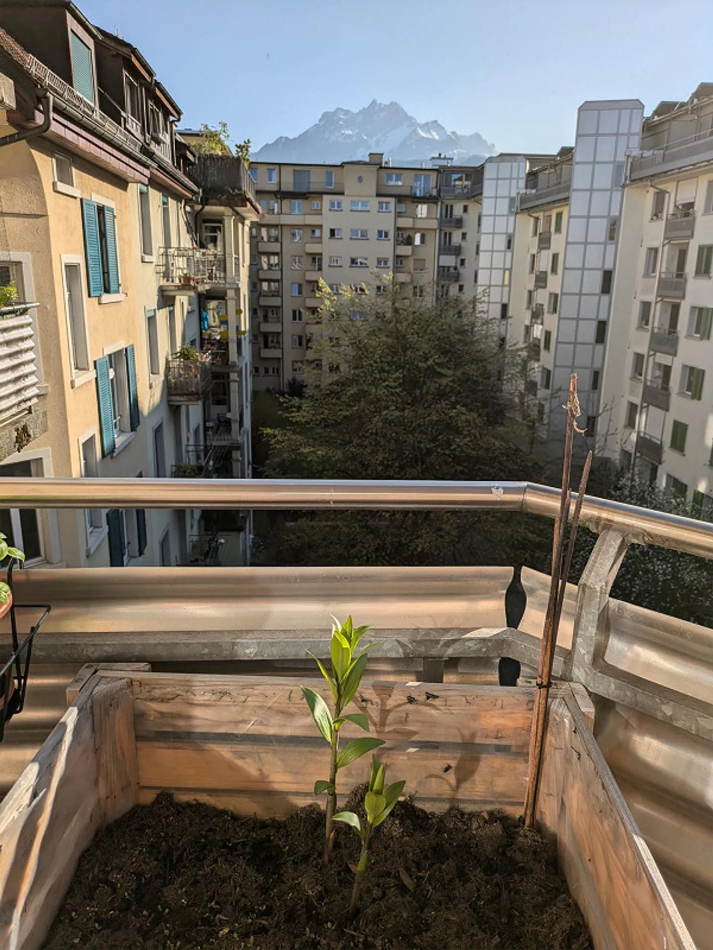 Apartment for Subletting - Photo 6 of 6