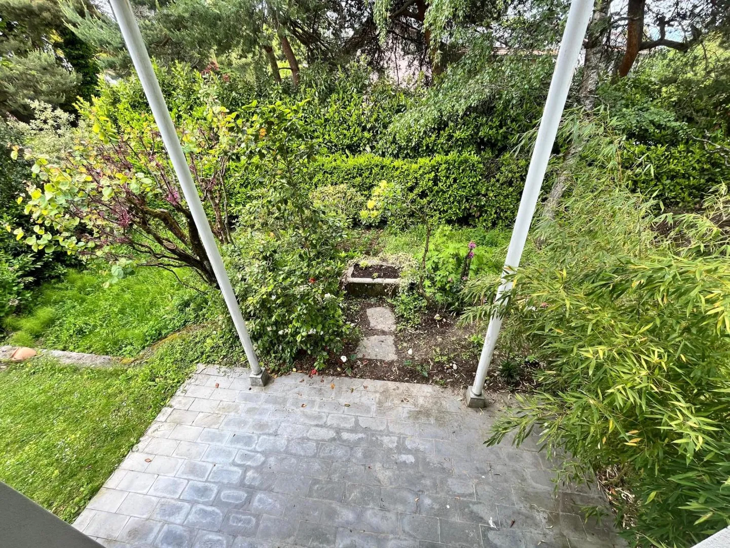 Architect-designed house - Pregny-Chambésy - Photo 12 of 13