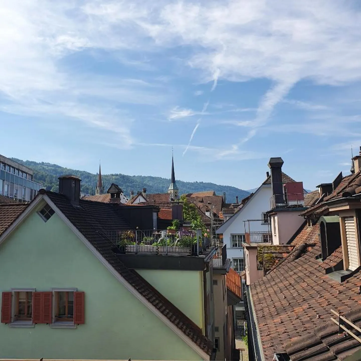 Charming 2.5-Room Maisonette Apartment with Mountain View in Zug - Photo 7 of 19