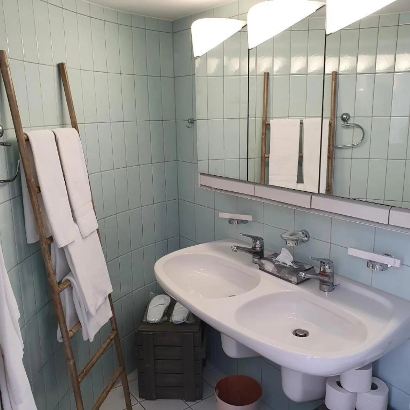 Charming 2.5-Room Maisonette Apartment with Mountain View in Zug - Photo 9 of 19