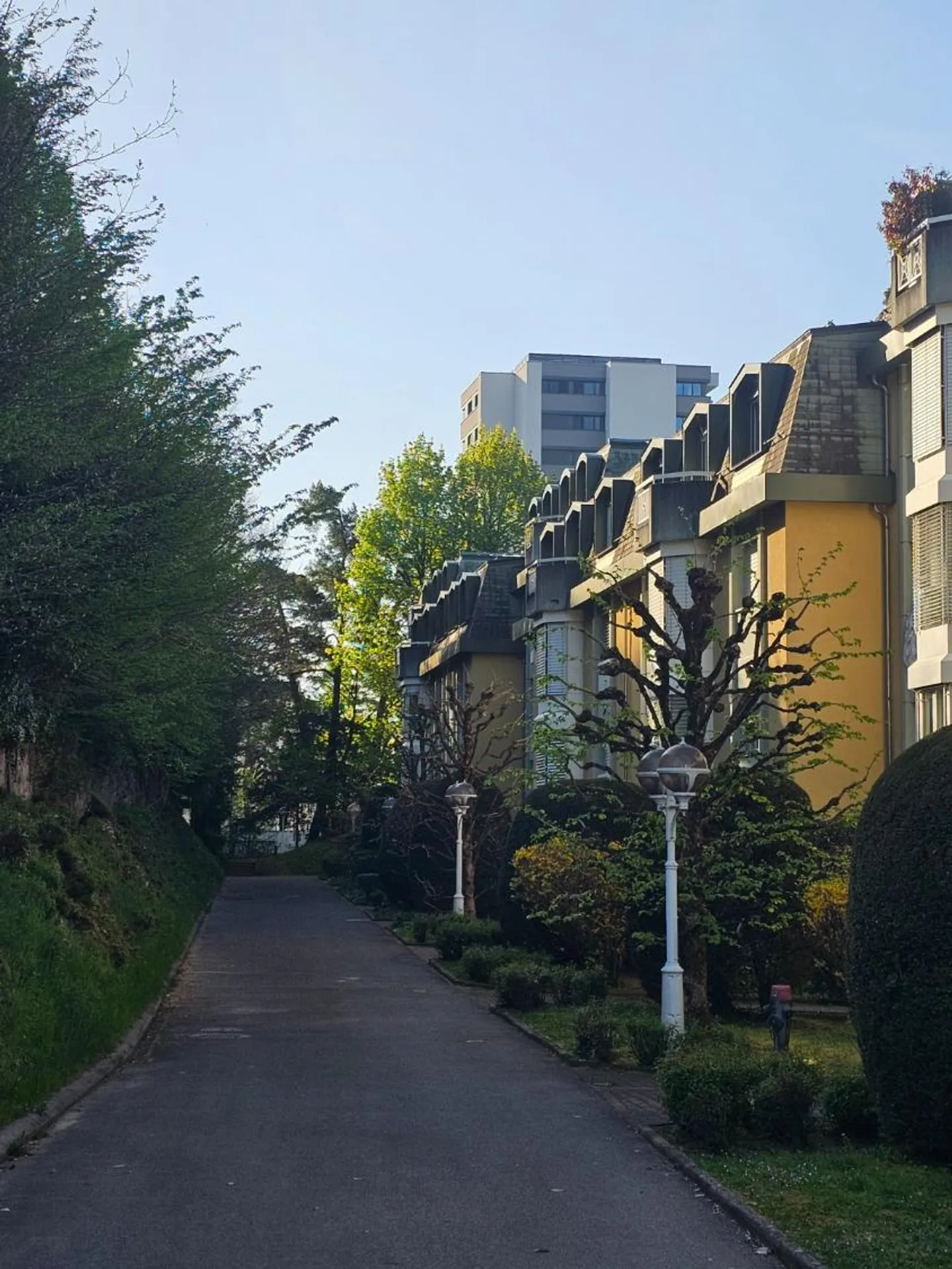 3.5 Room Apartment - Photo 7 of 13