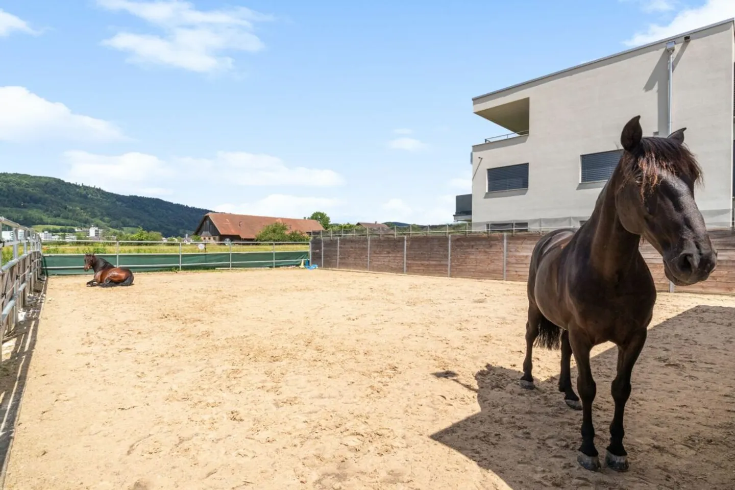 REITSPORT, WOHN- UND GEWERBEIMMOBILIE MIT VIELFÄLTIGEN NUTZUNGSMÖGLICHKEITEN - Foto 1 von 20