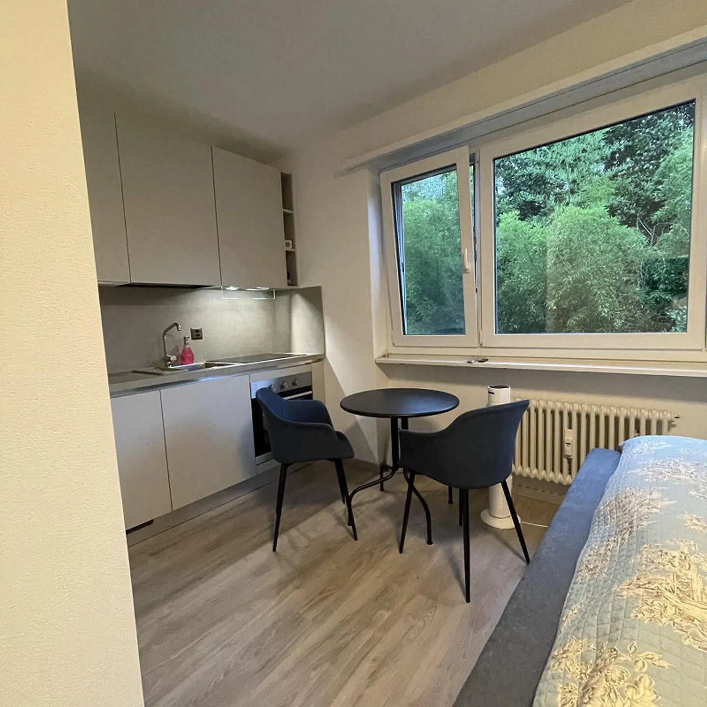 Studio apartment for rent in Minusio - Photo 3 of 6