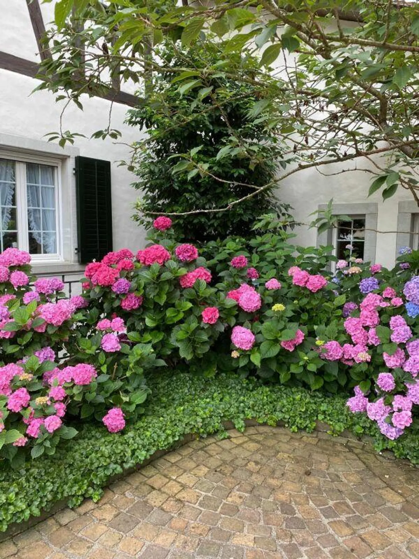 3½-Zimmer-Gartenwohnung der Extraklasse: Riegelhaus trifft auf topm... - Foto 9 von 18