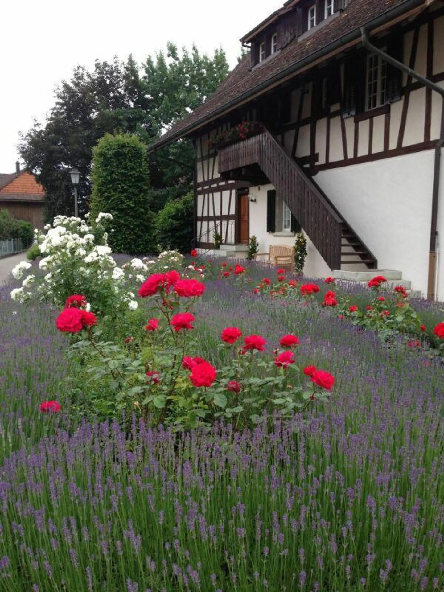 3½-Zimmer-Gartenwohnung der Extraklasse: Riegelhaus trifft auf topm... - Foto 8 von 18