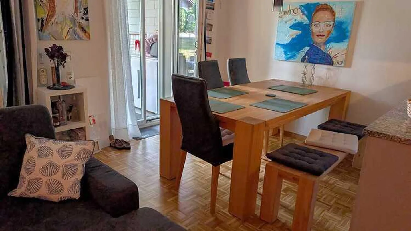 APPARTAMENTO 2½ STANZE A KREUZLINGEN (TG), ARREDATO, TEMPORANEO - Foto 5 di 5