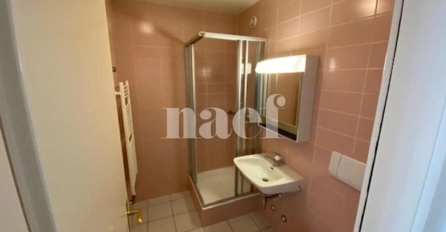 5-room apartment with large balcony in Carouge - Photo 8 of 10