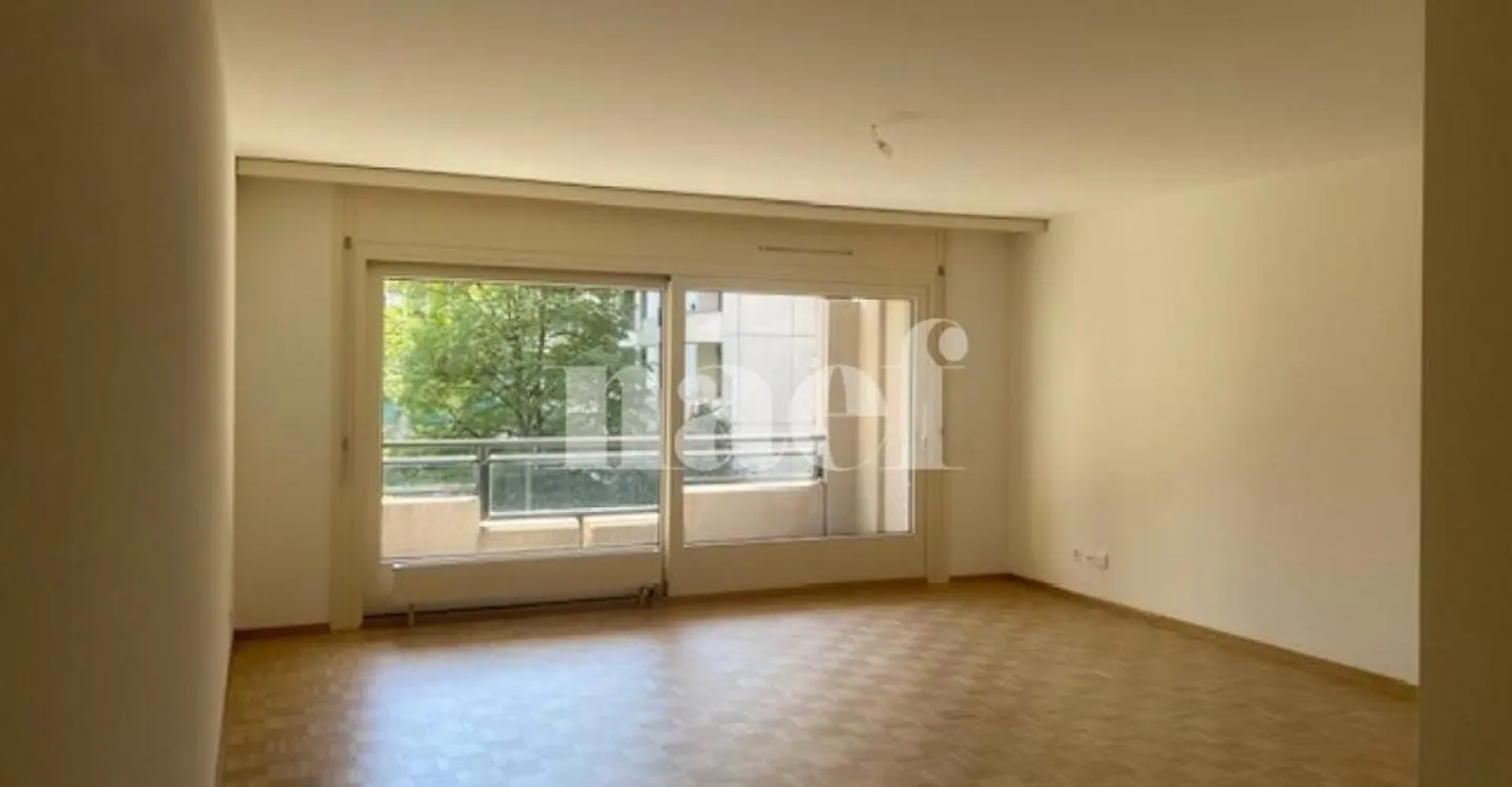 5-room apartment with large balcony in Carouge - Photo 3 of 10
