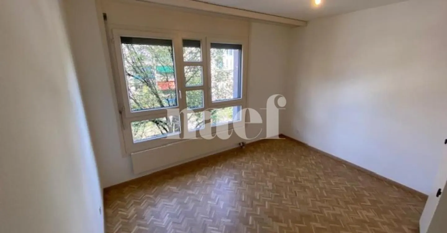 5-room apartment with large balcony in Carouge - Photo 5 of 10