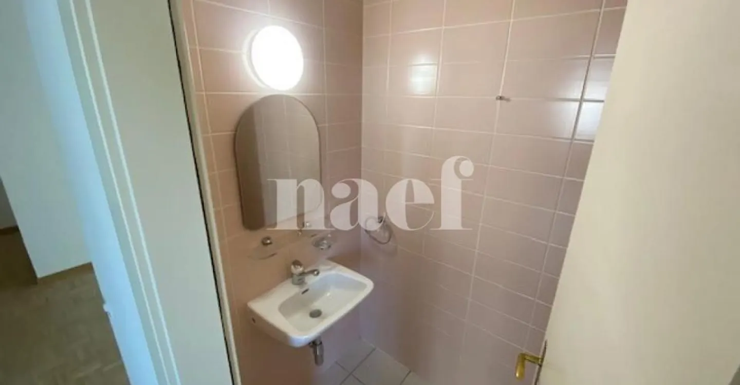 5-room apartment with large balcony in Carouge - Photo 9 of 10