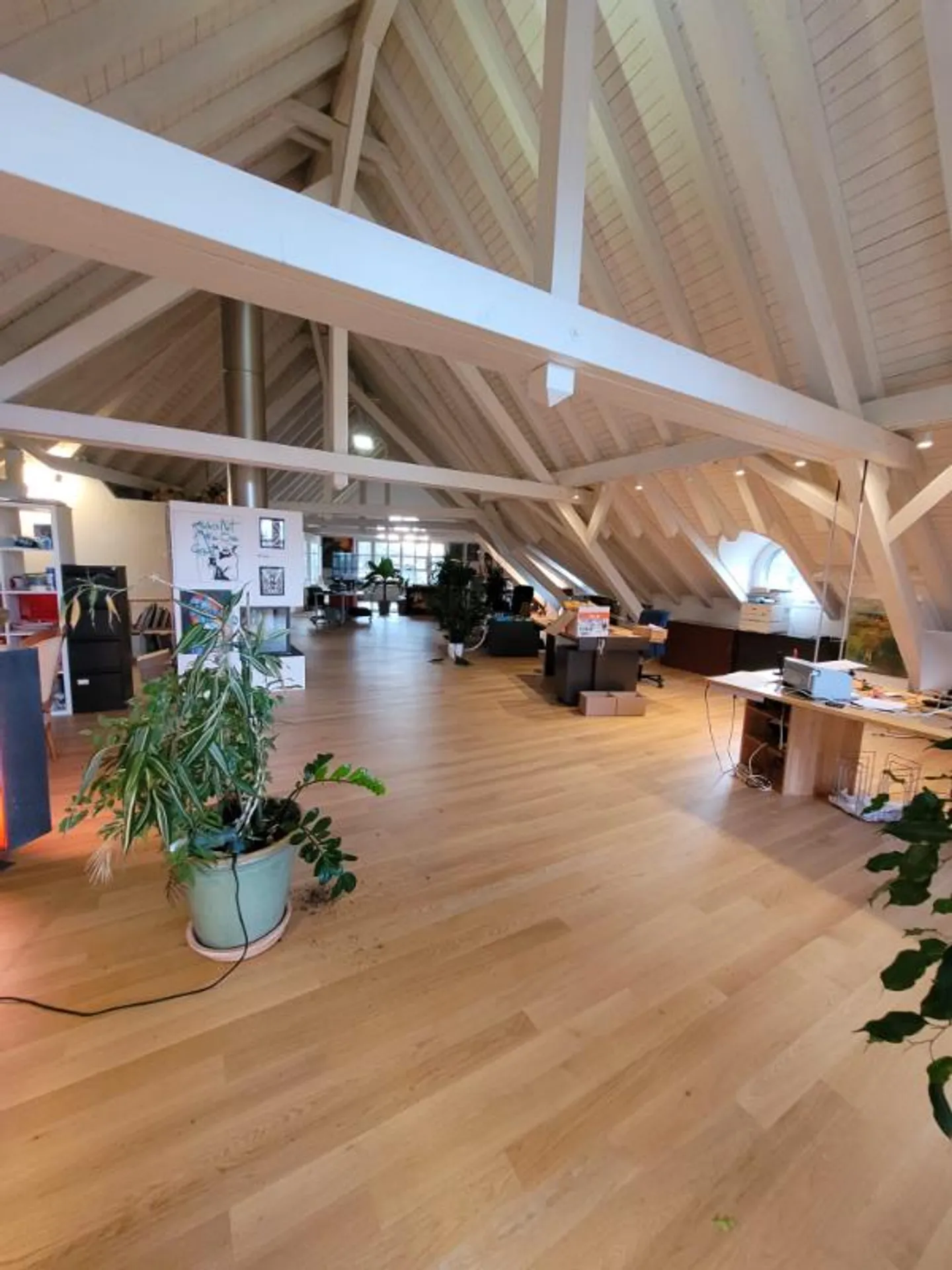 «WG-Zimmer» - Foto 2 von 5