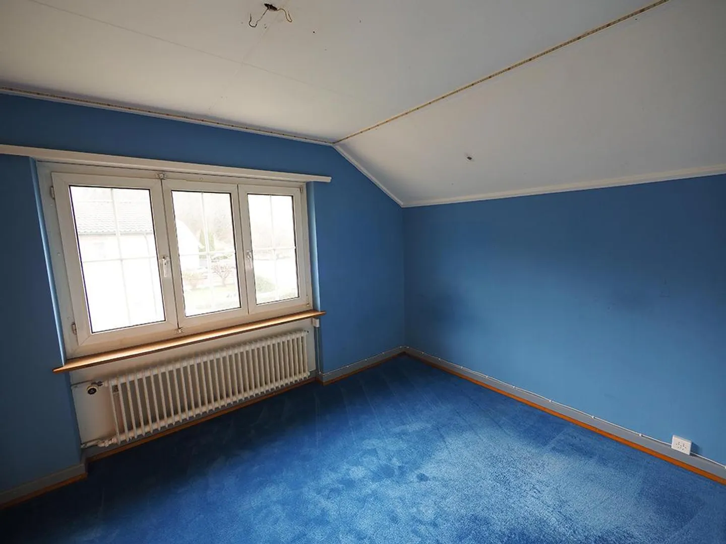 Casa singola in affitto - Foto 6 di 6