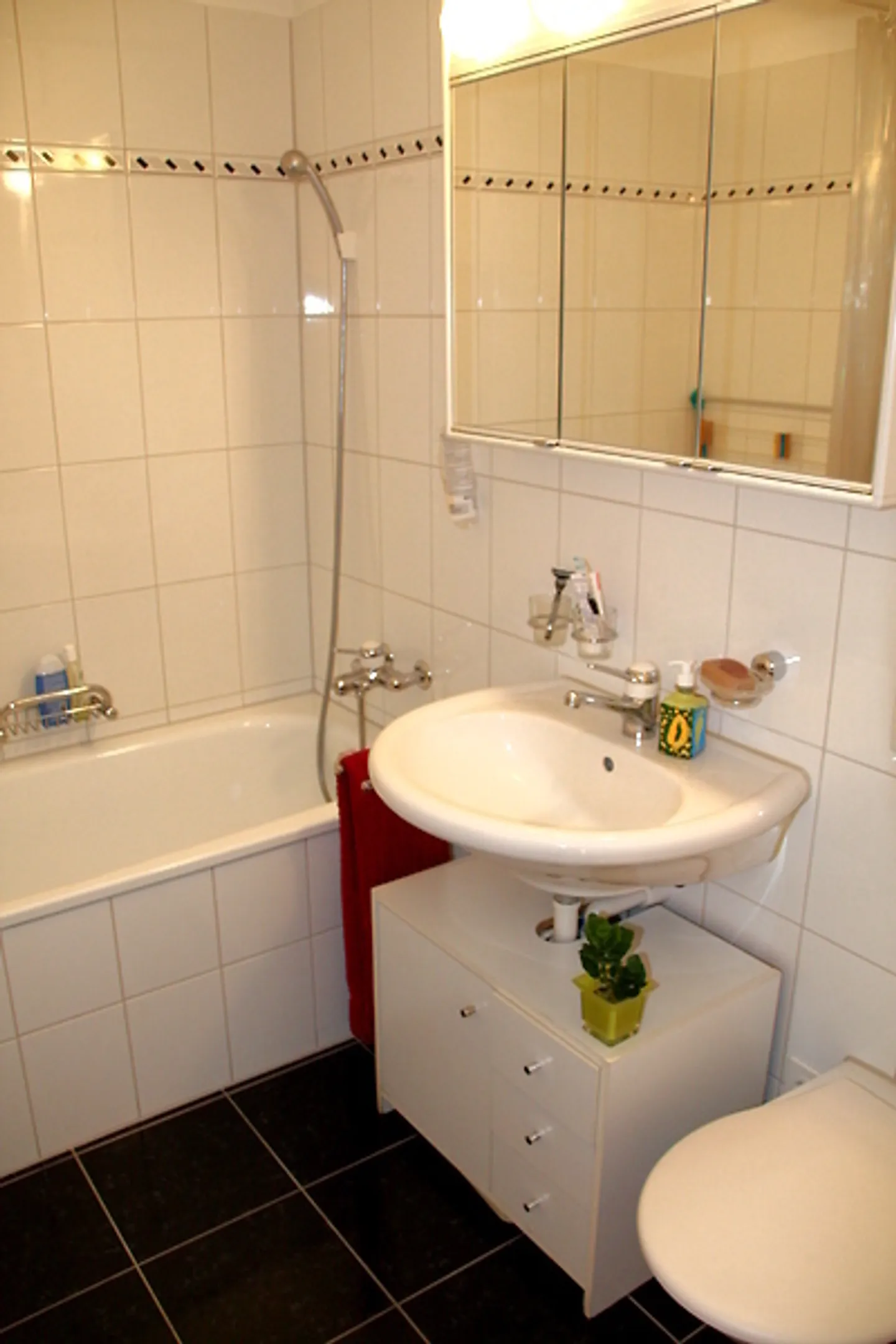 Geräumige Wohnung in Kloten - Foto 6 von 10