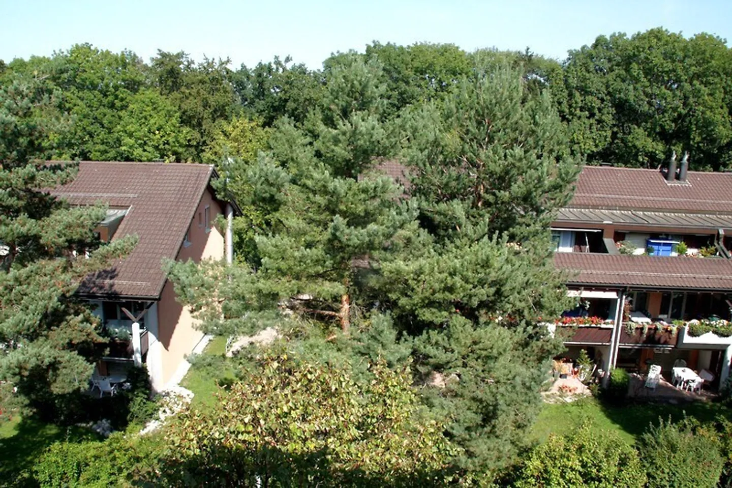 Geräumige Wohnung in Kloten - Foto 10 von 10