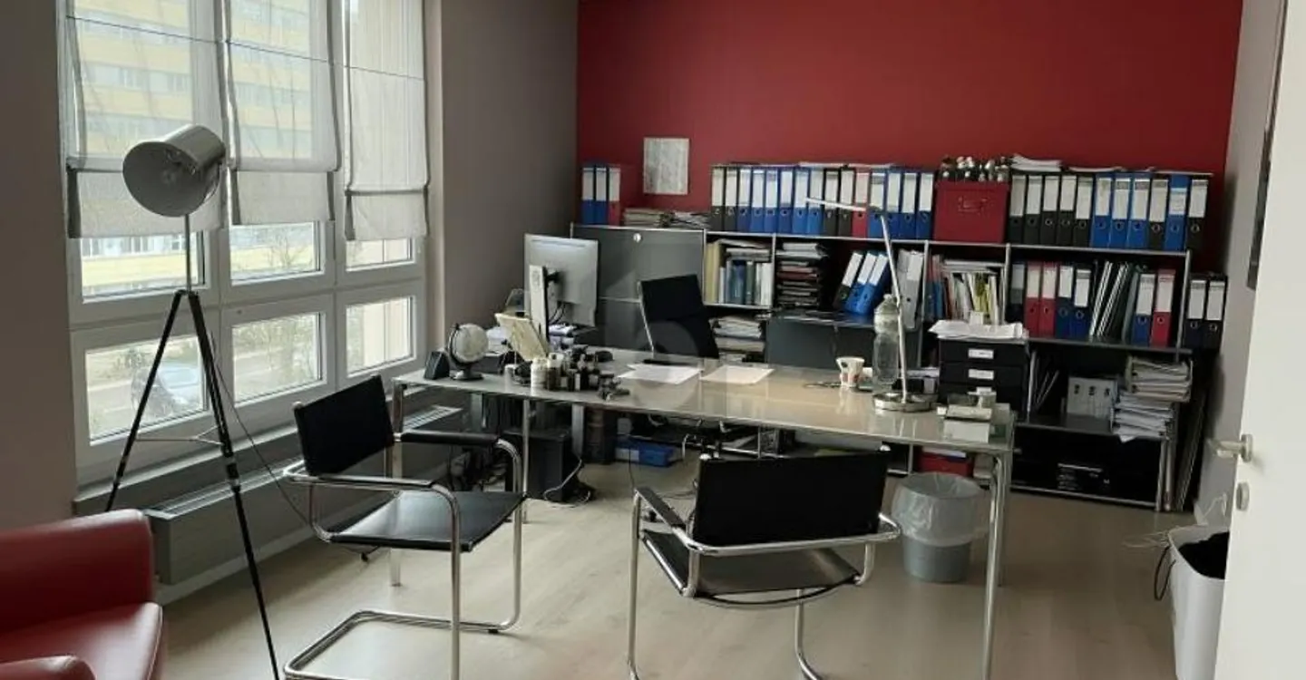 BRIGHTNESS AND CALM ENVIRONMENT - Photo 3 of 5