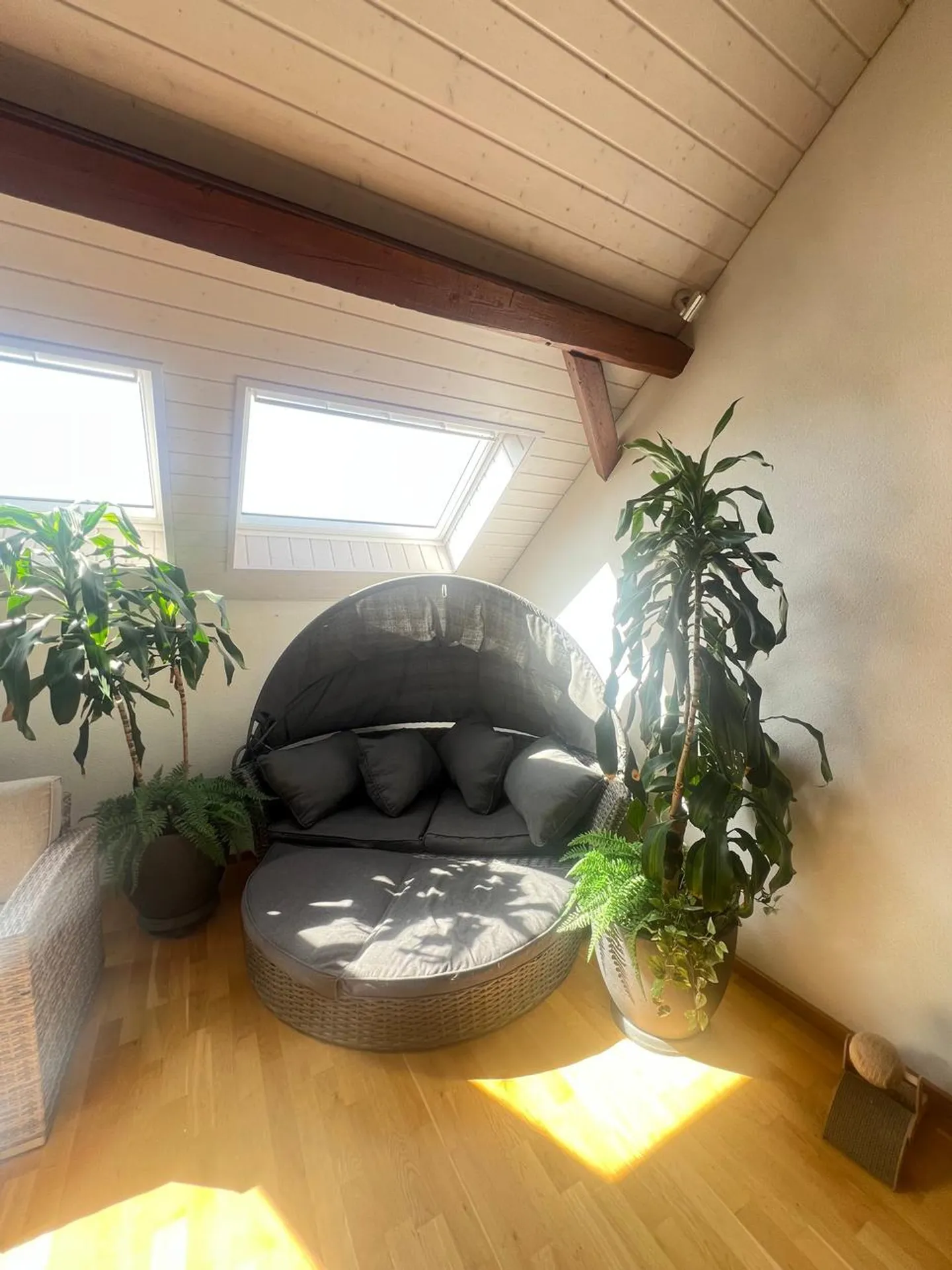 Rare opportunity in Romont - Photo 11 of 13