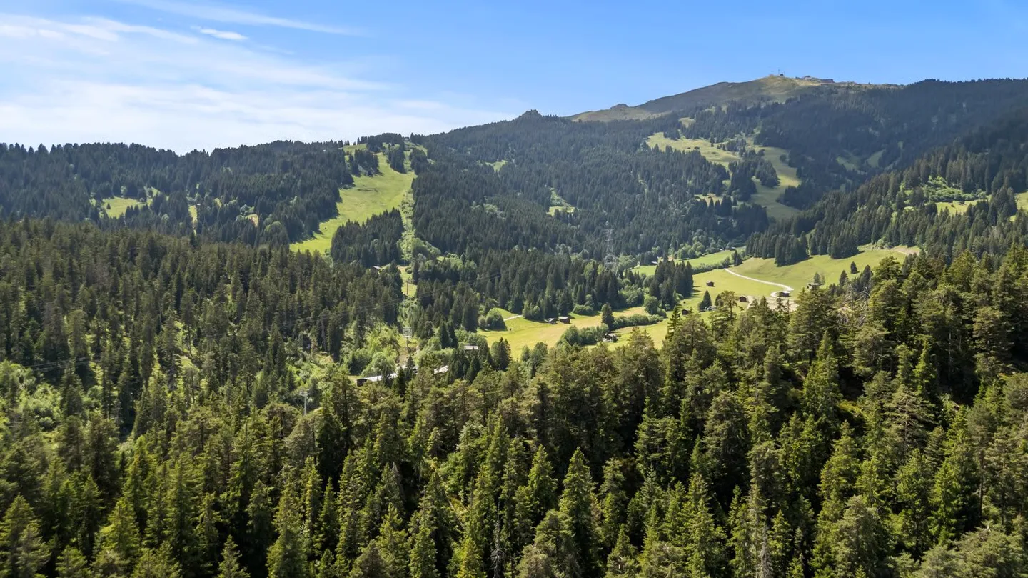 Charming 3.5-room terrace apartment with ski-in/ski-out in Laax - Photo 8 of 8