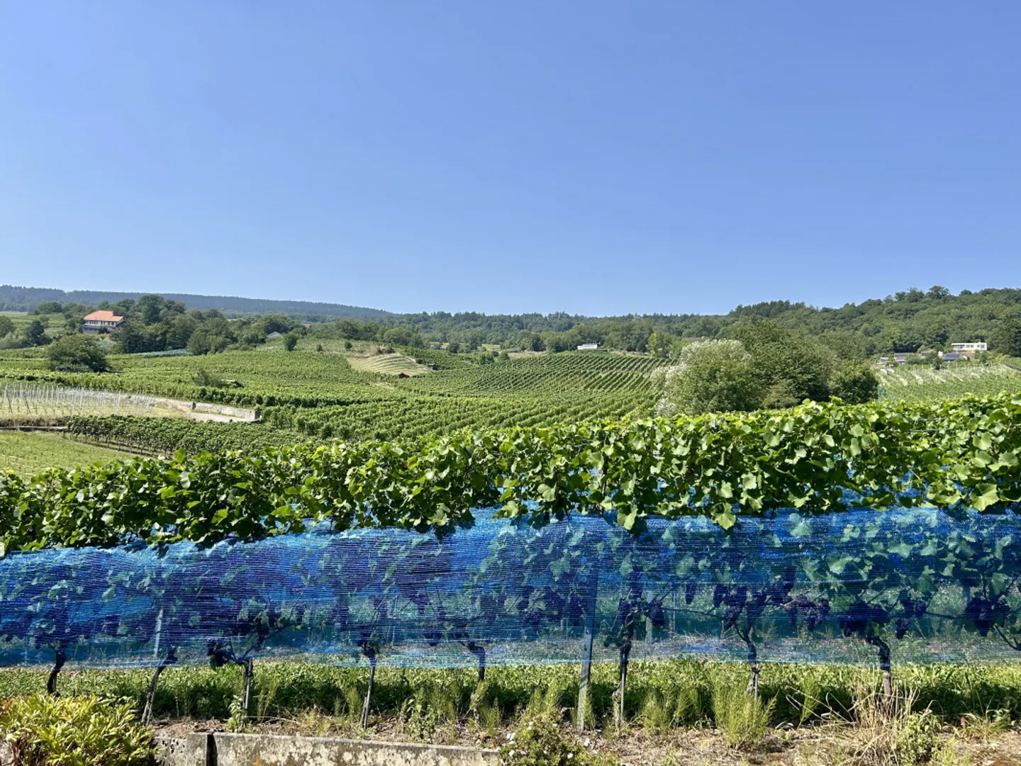 Magnifique avec grand balcon couvert et accès direct au jardin - Photo 6 sur 6