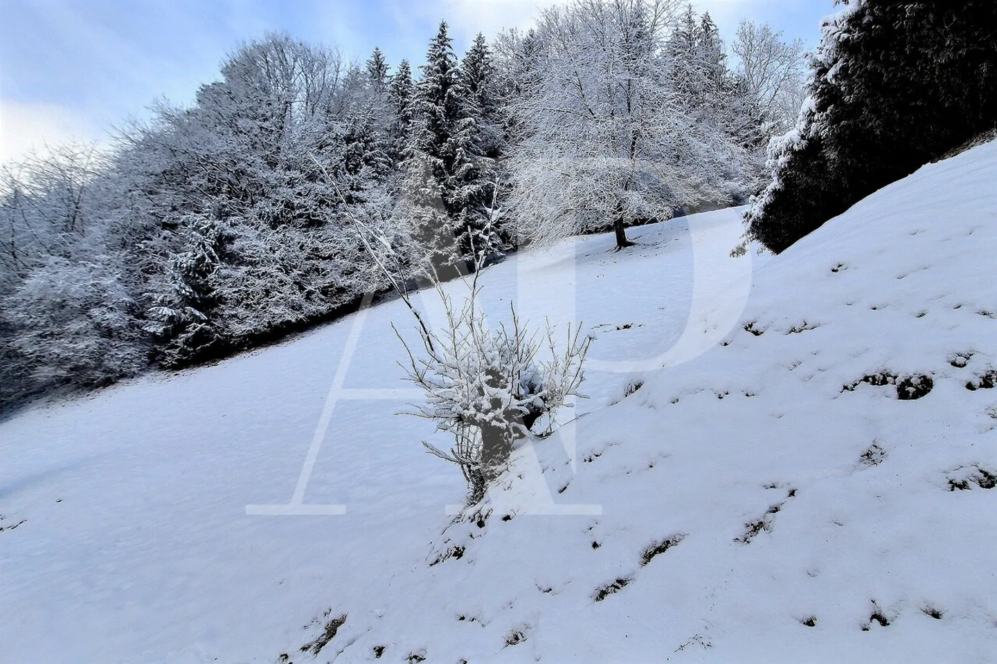 IN VENDITA TERRENO A CHAMPERY - Foto 5 di 7
