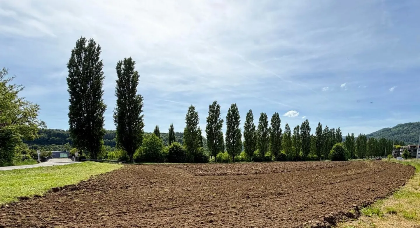 Gartenwohnung - Aare & Stadtnähe - Foto 12 von 17