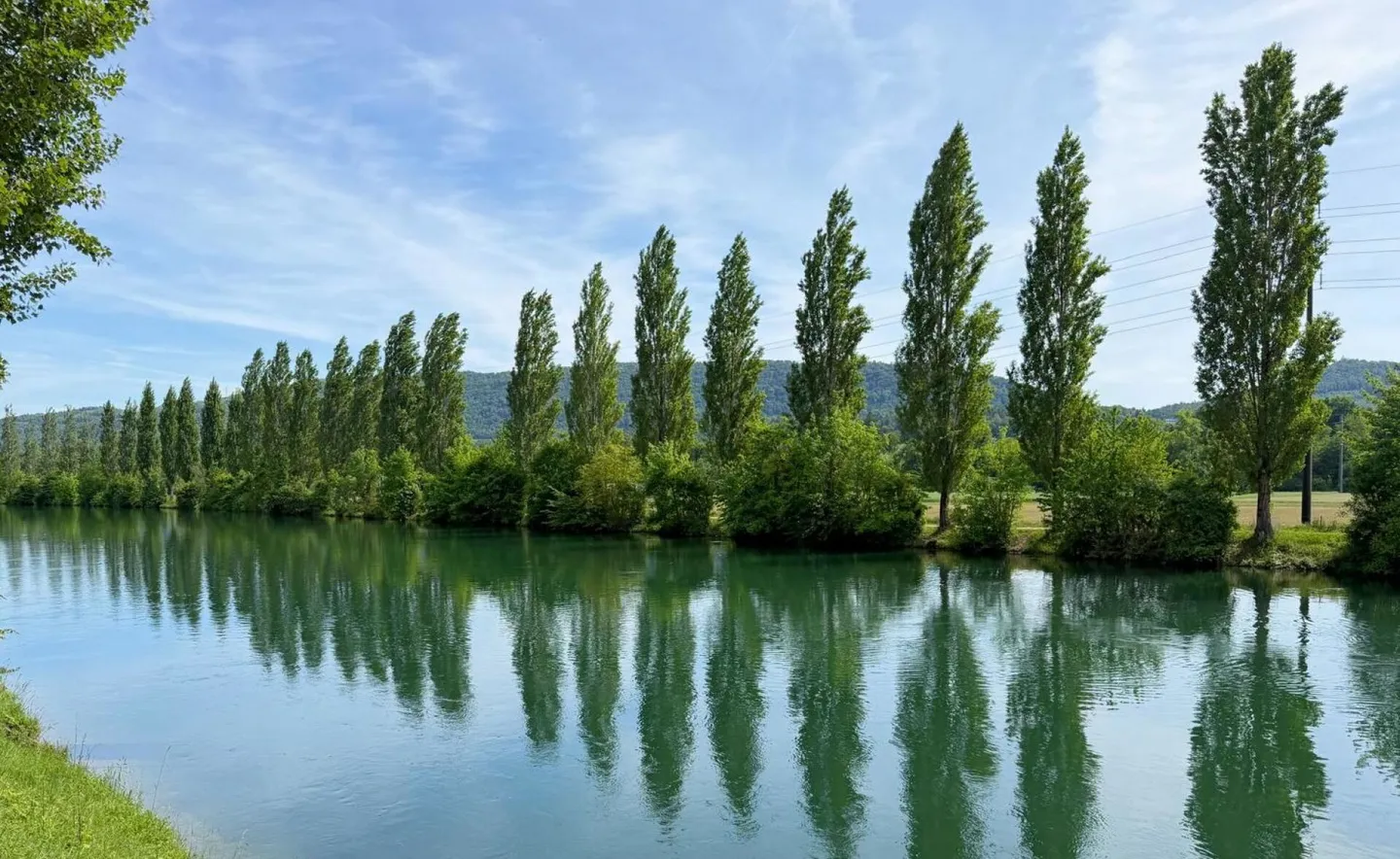 Gartenwohnung - Aare & Stadtnähe - Foto 14 von 17