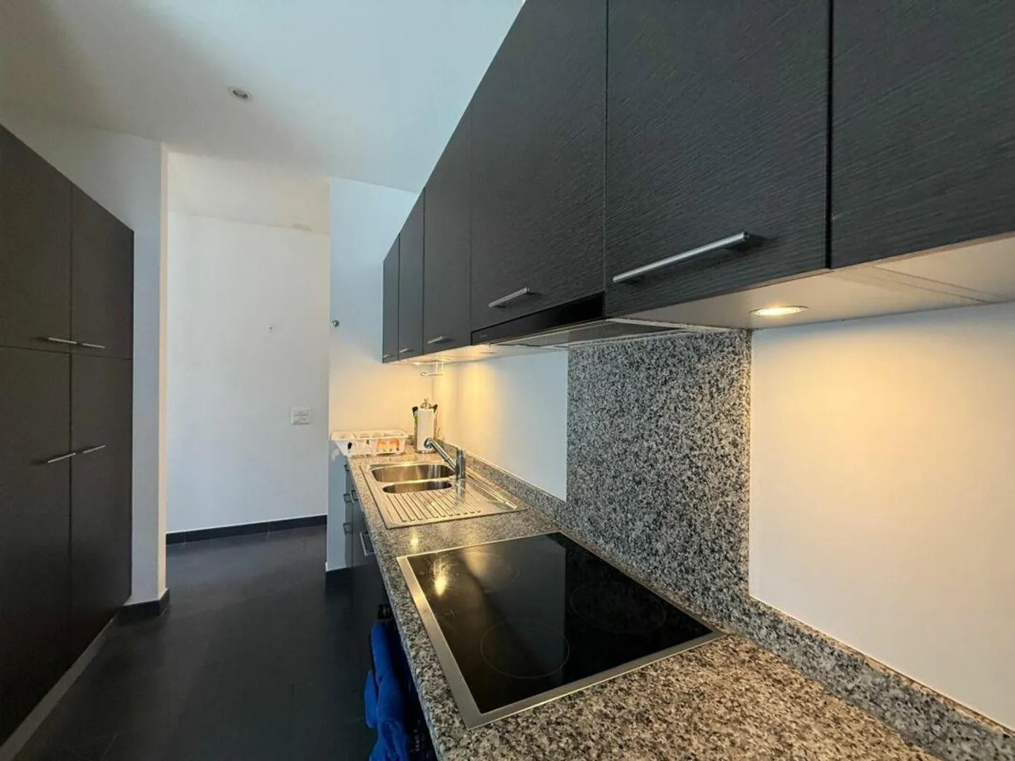 Bel appartement de 3,5 pièces à Lugano - Photo 5 sur 10