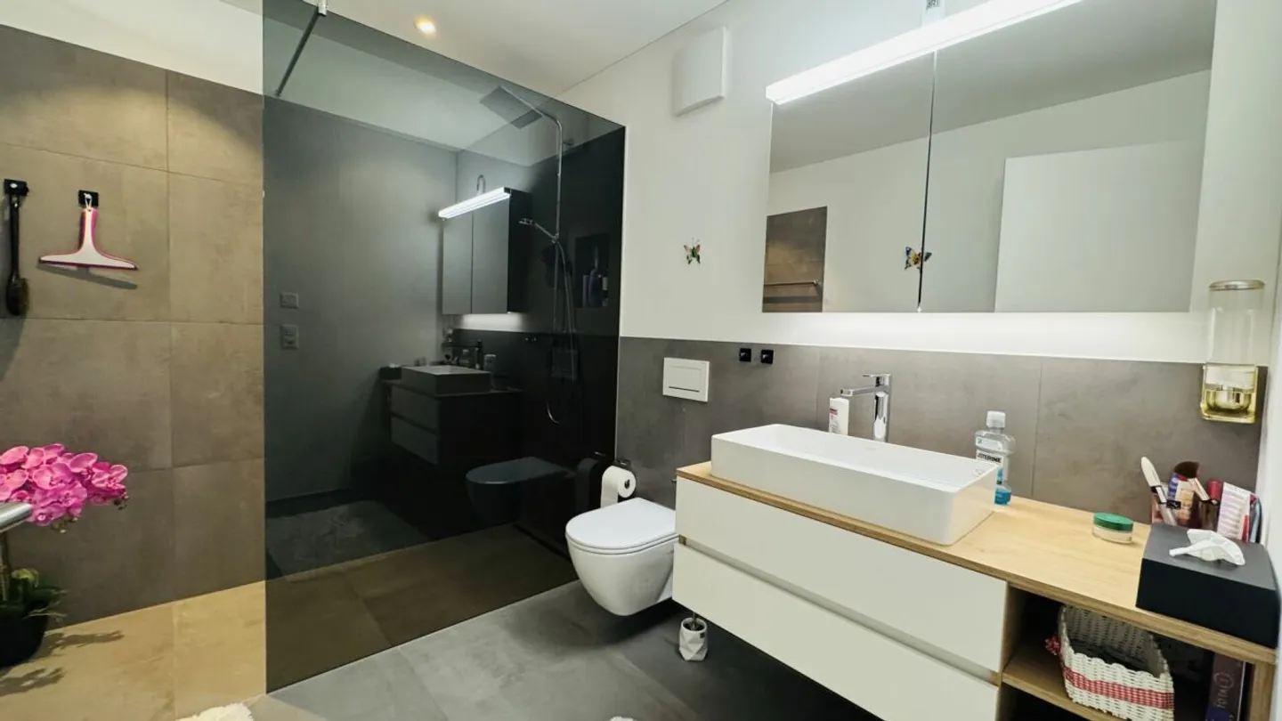 Modern 3.5-room apartment with spacious terrace - Photo 3 of 11